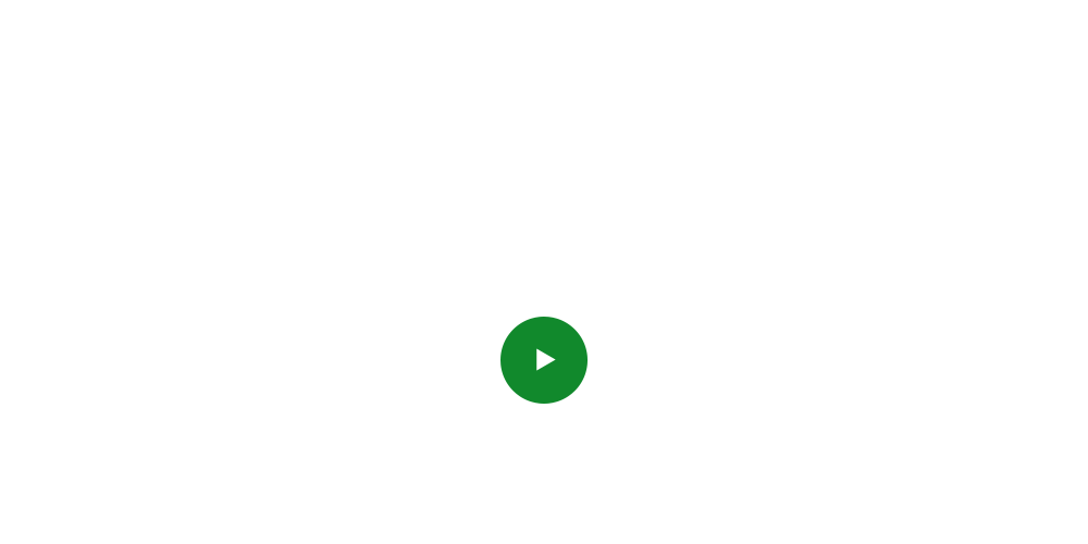 bnrhalf_business_cover_off