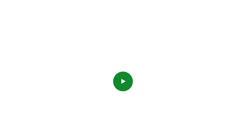 bnrhalf_vehicle_cover_off